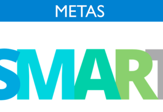 metas-smart