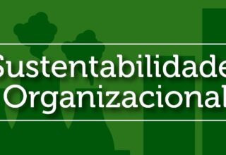 sustentabilidade-organizacional